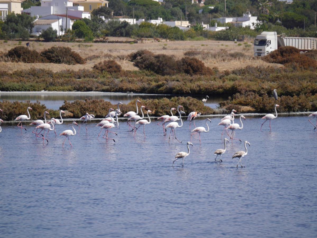 Tavira Nomad Guesthouse Екстериор снимка